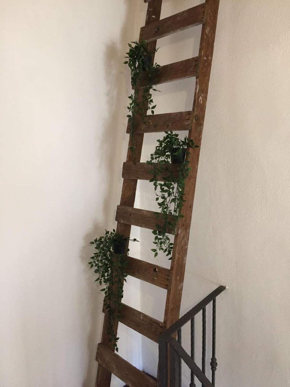 B&B La Corte San Francesco Bari Eksteriør bilde